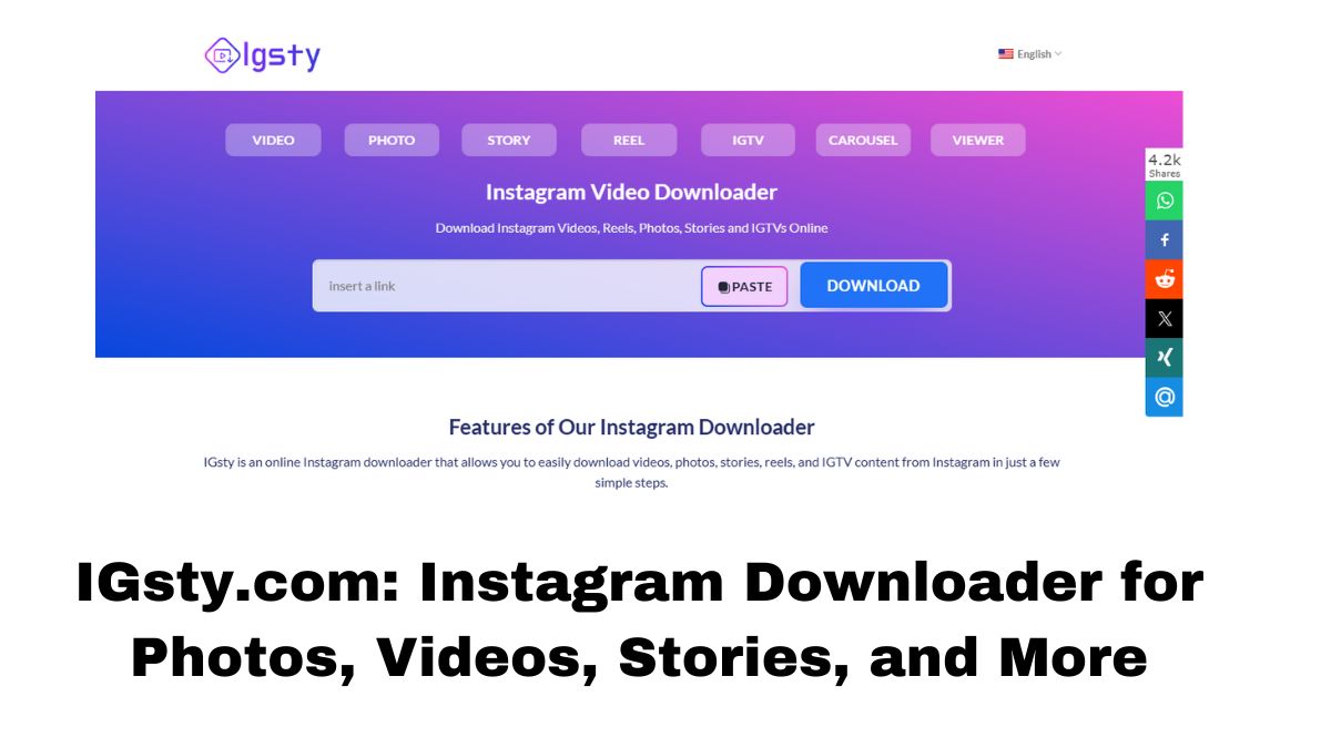 IGsty.com: Instagram Downloader for Photos, Videos, Stories, and More